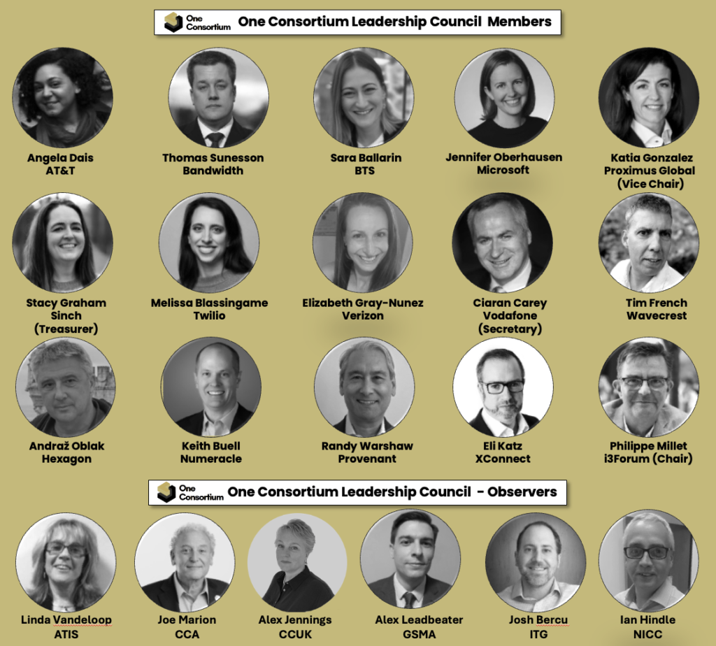Leadership council – One Consortium